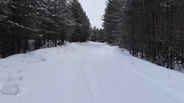 20250219_091222.mp4