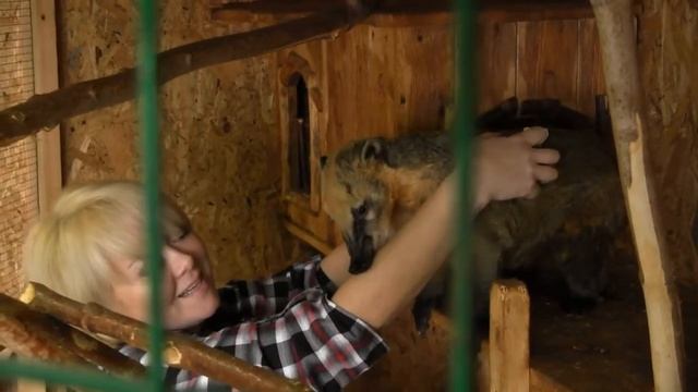 Птичий остров