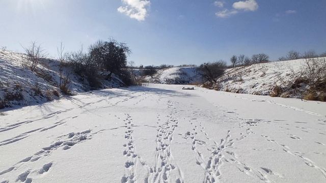 Зимняя прогулка