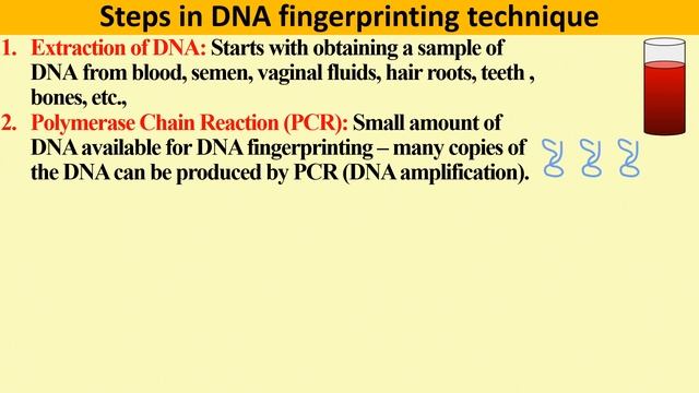 12th Class | Lesson 5 | Molecular Genetics | DNA Fingerprinting technique | English | NEET | Bio Zo