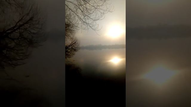 Рассвет в тумане