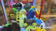 Орел или попугай, Что за птиц?)/ Игра в автомат хватай-ка