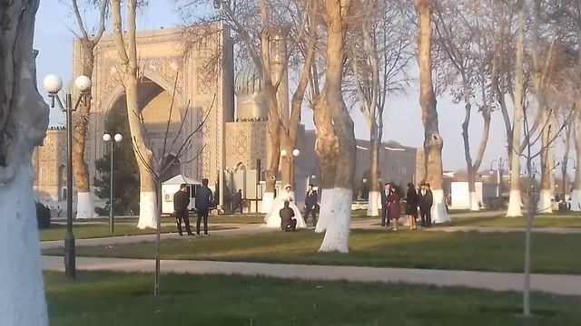Амур Темур