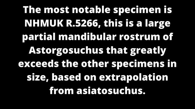 Astorgosuchus Bugtiensis the biggest Cenozoic crocodile!