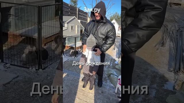 Оксана Самойлова подарила сына на день рождения корову