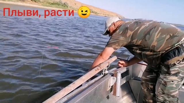 Ветлянка. Отпускаем "малышей".