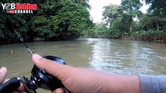 RANDUK | Casting Sebarau/Hampala Dengan Rapala Countdown