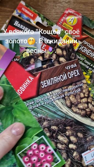 У всякого "Кощея" своё золото🤭. В ожидании весны 🪻