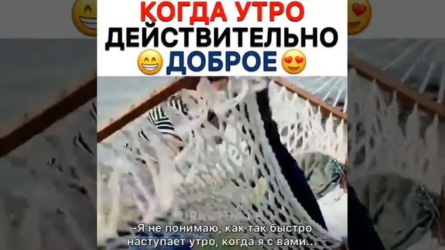 Раняя пташка