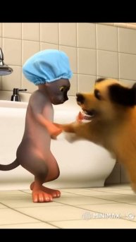 Саничка победил собаку