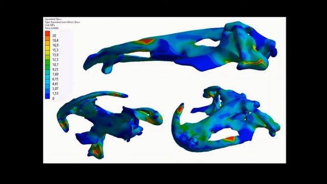 3D Bite Modeling and Feeding Mechanics of the Largest Living Amphibian, the Chinese Giant...