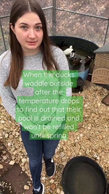 Tiny pools until the water can be turned back on without freezing the pipes🦆 #Ducks #PetDucks