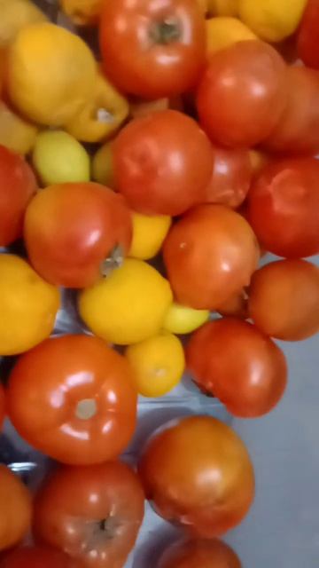 Lemon's and Tomatoes #satisfying #viral #short #fruit