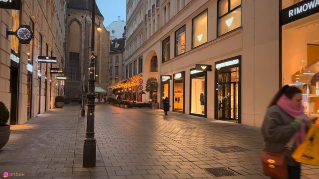 Венская прогулка по центру города, февраль 2025