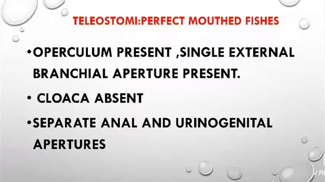 Teleostomi: Pt. 1:Dr. Reena Vyas