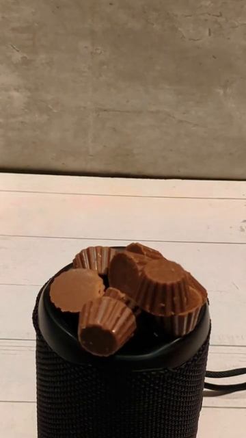 JBL Bass Test with Mini Reese's Cups! 😱🫣
