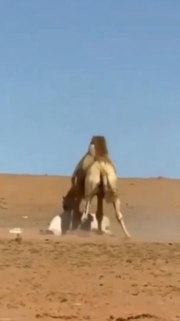 FIND YOUR OWN MATE JACKASS!!!