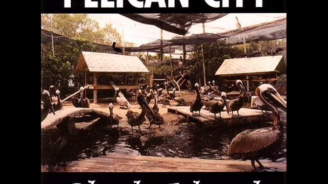 Pelican City - The Northside