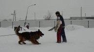 Миллениум фом Сафари Ланд(фигурант Богданов Сергей)27.02.15(второй подход))