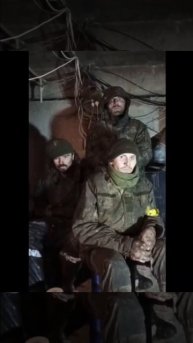 🔴Три 🐷🐷🐷🔴