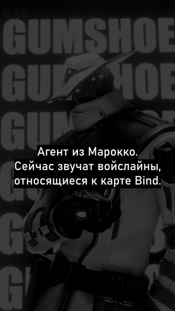 Лор Сайфера #shorts