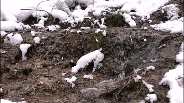 А он все течет. Родник, от истока до устья. Релакс