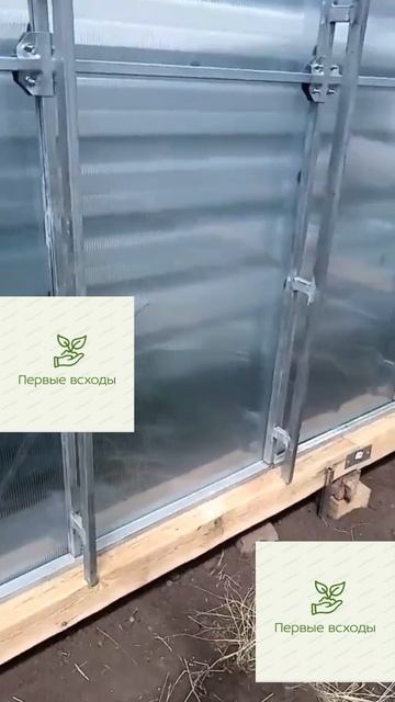 Дизайн без названия 3