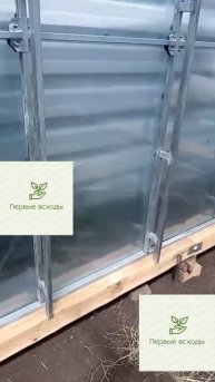 Дизайн без названия 3