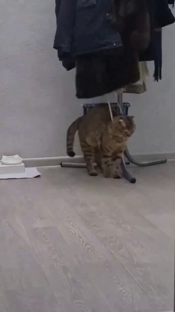 1000074241.mp4