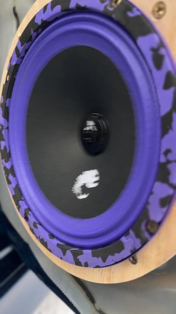Динамики DL Audio Piranha 165 V.2