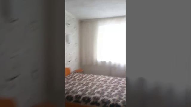 WhatsApp Video 2025-02-19 at 14.12.57