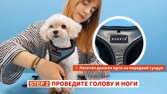 [PUPPIA] ИСПОЛЬЗОВАНИЕ - E Style