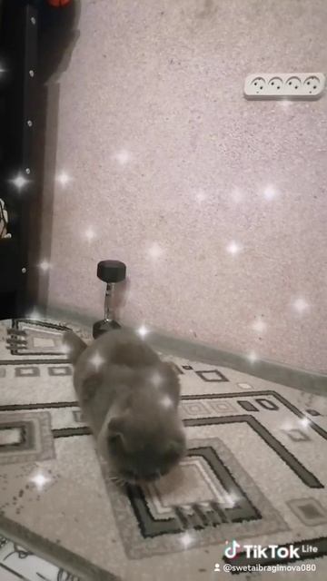 8138b83b-a3d4-474d-b642-808d4de554cd-watermark.mp4