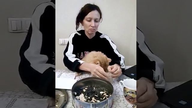 Гоша ест семечки