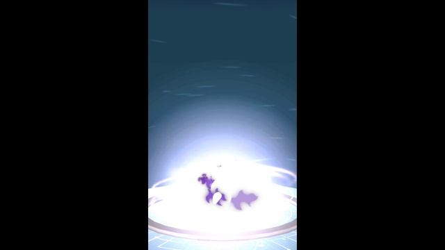 Pokémon GO-Purifying Shadow Cyndaquil