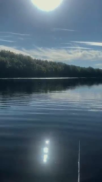 Покой и умиротворение - то, чего требует душа 🏕️🌅 #рыбалка #fishing #природа #щука #закат #лето
