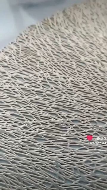 1000006821.mp4