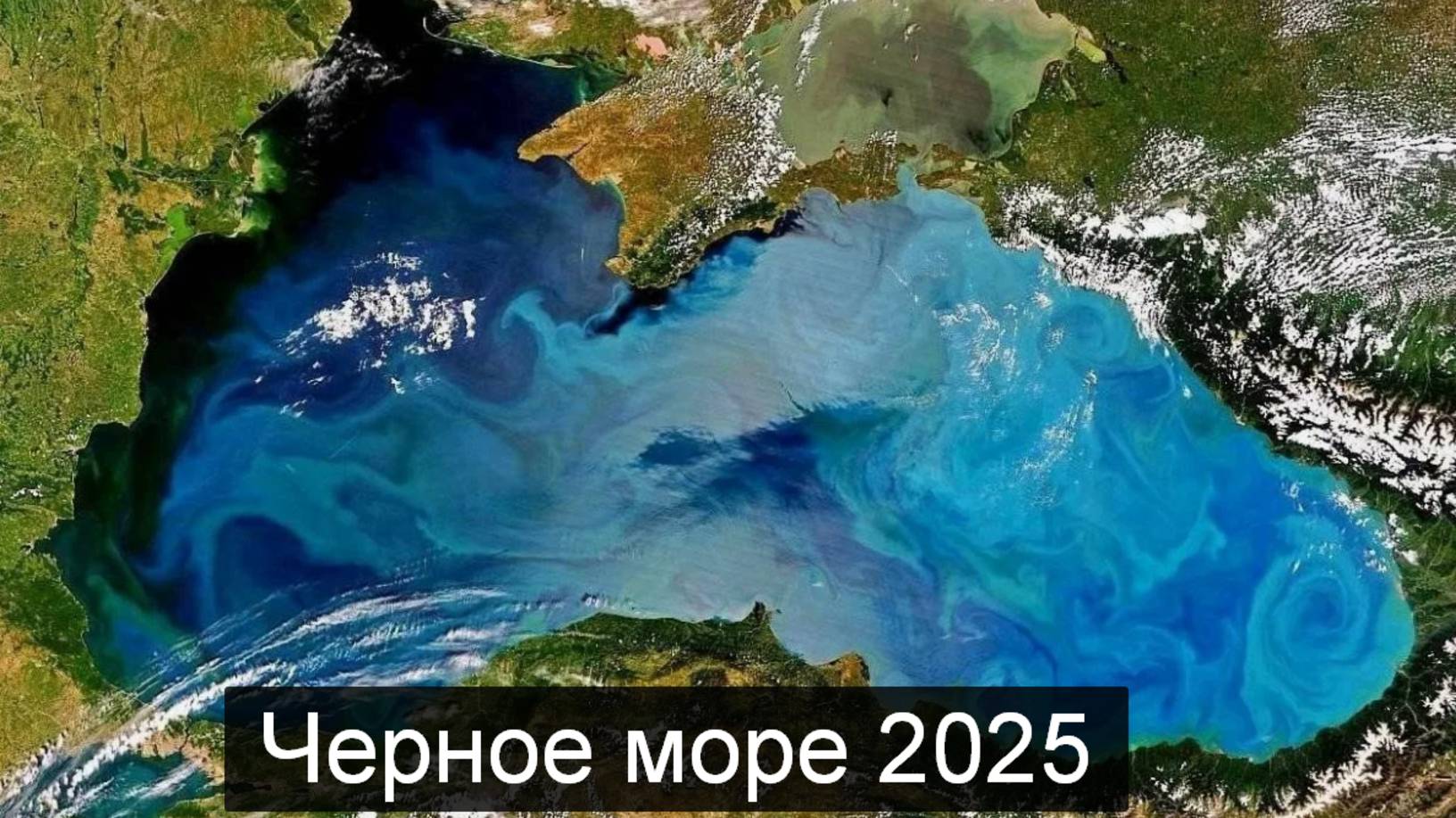 ТАРО #Аврора #гадание  Черное море 2025