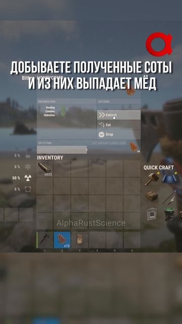 Пчёлы и новые гранаты в Раст