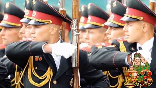 С днём защитника отечества. Поздравление для мужчин. Музыкальная открытка.