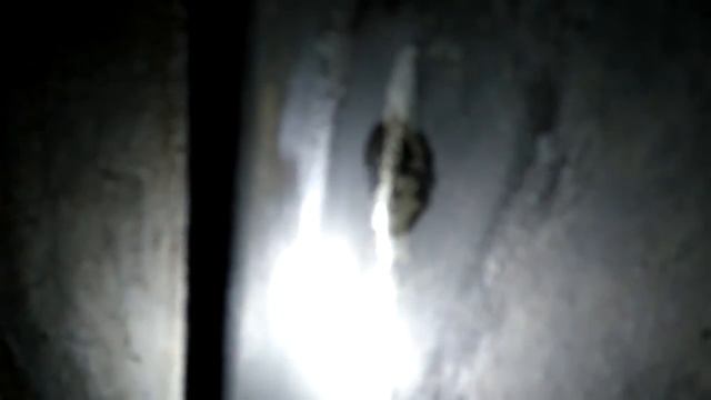 1000018645.mp4