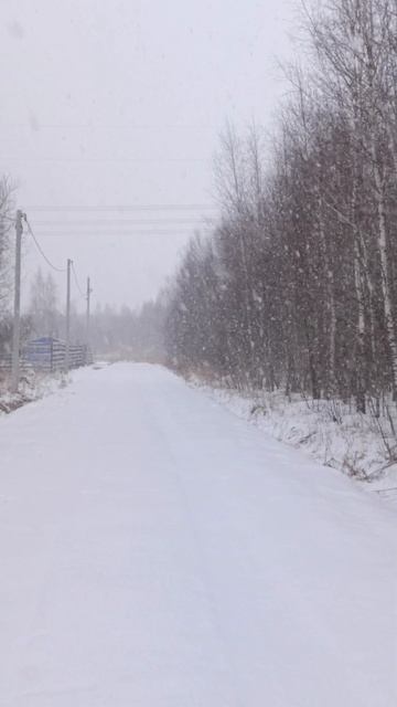 Февраль опомнился ❄❄❄