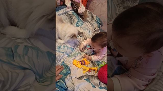 Мореншорого