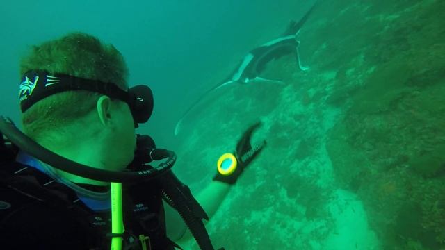 Манта общается Тайланд 2017