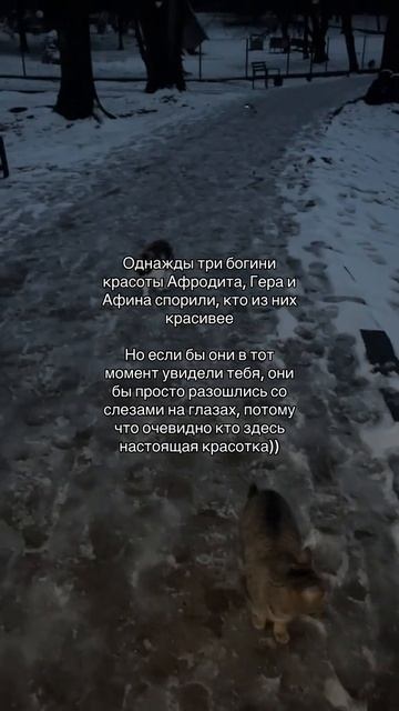 Как вам ???