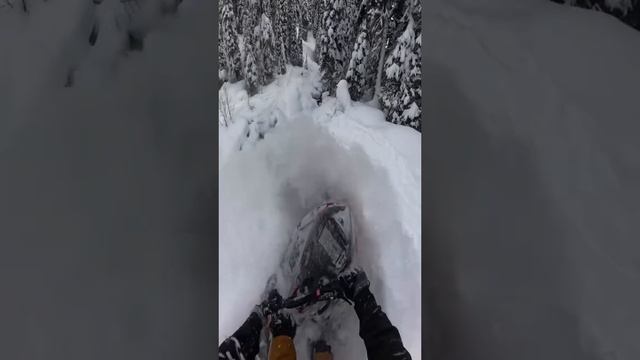 @backcountryclips=215efc