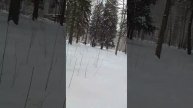 VID-20250220-WA0022