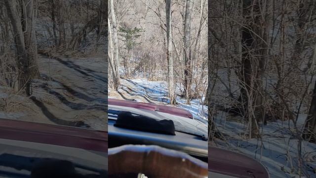 Термальный источник в с.Беневском.