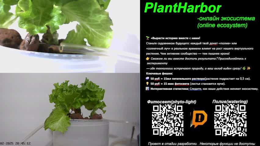 PlantHarbor-автоматизированная он-лайн экоплатформа