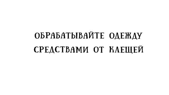 Осторожно клещи | КГБУЗ "АКОД"